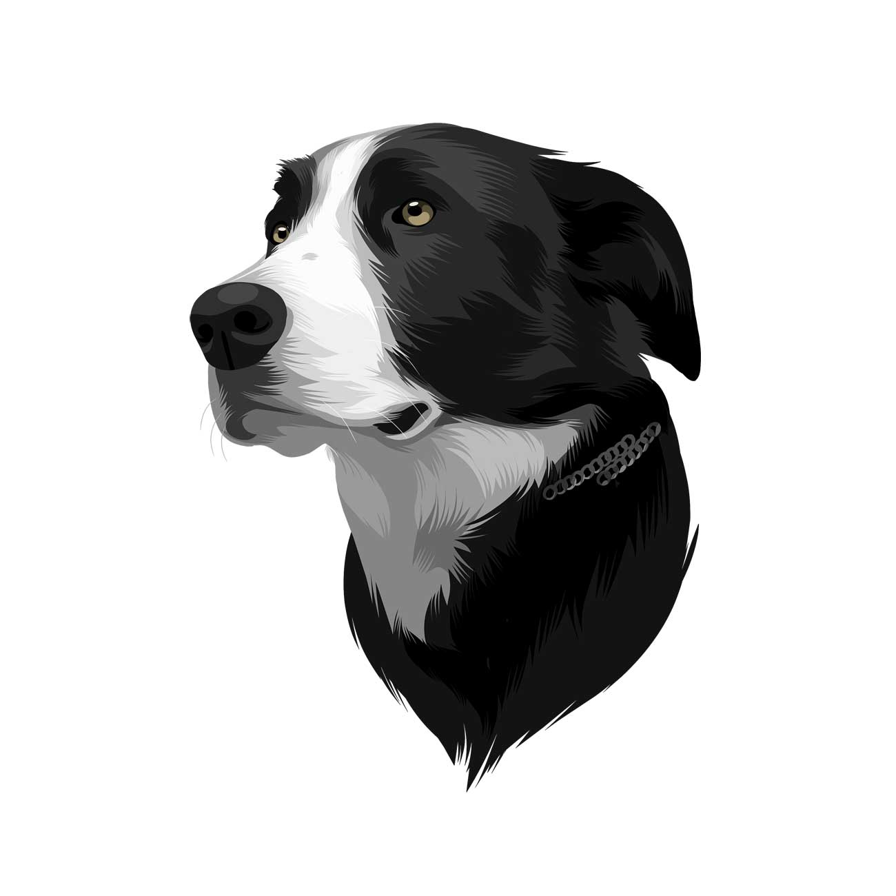 Custom Vector Pet Portrait Illustrate By Me